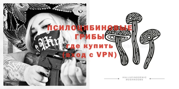 PSILOCYBIN Абдулино
