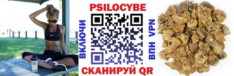 Псилоцибиновые грибы GOLDEN TEACHER  где купить наркотик  Правдинск 